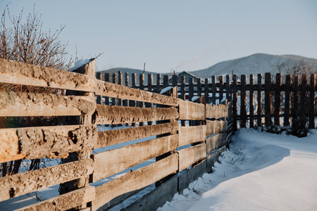 Texture of old boards, and the bark of a treeの写真素材