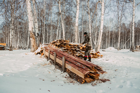 A logger saws a tree in the forest in winter, in Russia for firewoodの写真素材