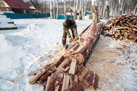 A logger saws a tree in the forest in winter, in Russia for firewood