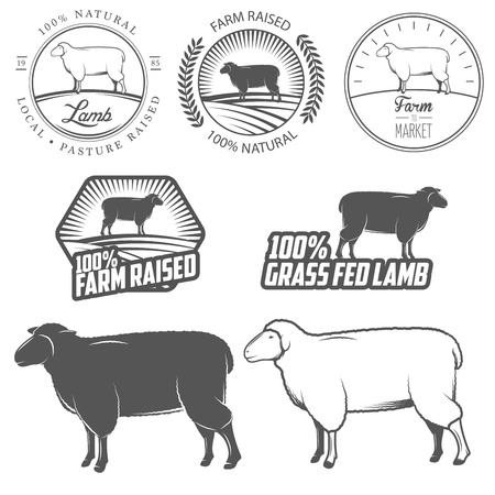 Set of premium lamb meat labels, badges and design elementsのイラスト素材