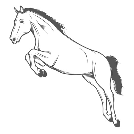 Jumping horse isolated on white backgroundのイラスト素材