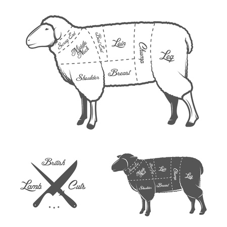 British  UK  cuts of lamb or mutton diagramのイラスト素材