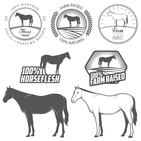 Set of horse meat  horse beef, horseflesh  labels and badgesのイラスト素材