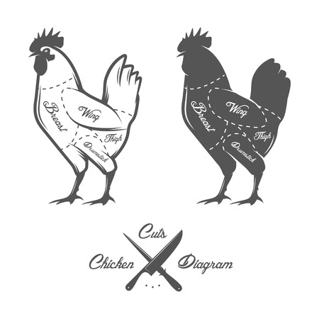 Chicken cuts diagramのイラスト素材
