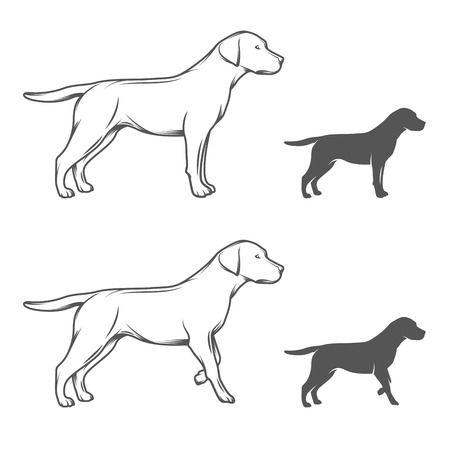 Illustration of a dog in different poses isolated on white backgroundのイラスト素材