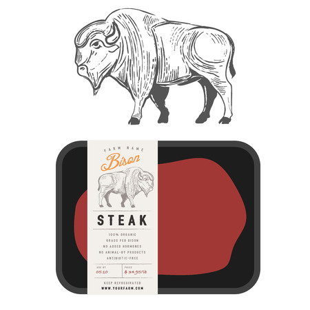 Vintage bison buffalo engraving style with sample package designのイラスト素材