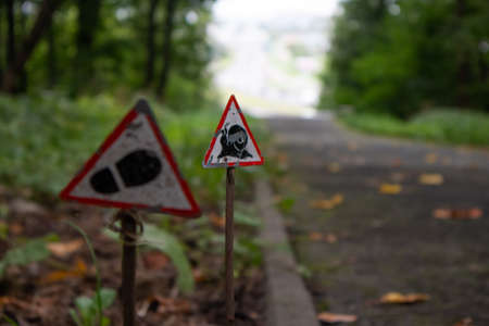 Photo of a miniature road sign with a snail in the park