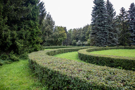 Park in the sity in summer weather. Landscape Park in Pulkovo Absservatoryの写真素材