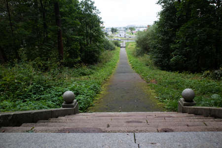 Photo of a footpath in a green park. Summer snapshot
