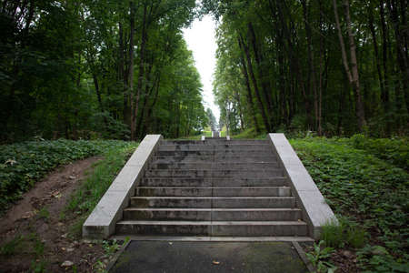 Photo of a footpath in a green park. Summer snapshotの写真素材