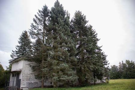 Park in the sity in summer weather. Landscape Park in Pulkovo Absservatory