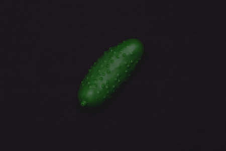 Green cucumber on a dark background.の写真素材
