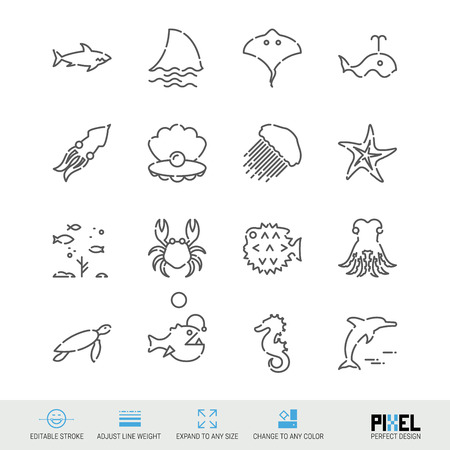 Vector Line Icon Set. Marine Life Related Linear Icons. Sea Animals Symbols, Pictograms, Signs. Pixel Perfect Design. Editable Stroke. Adjust Line Weight. Expand to Any Size. Change to Any Color.のイラスト素材