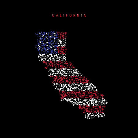 California US state flag map, chaotic particles pattern in the colors of the american flag. Vector illustration isolated on black background.のイラスト素材