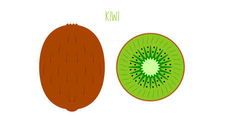 Ripe kiwi fruit with seeds outside and cut isolated on white. Colored fruit icon. Vector illustration.のイラスト素材