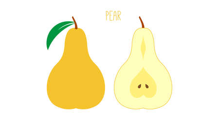 Ripe pear with leaf and core outside and cut isolated on white. Colored fruit icon. Vector illustration.のイラスト素材