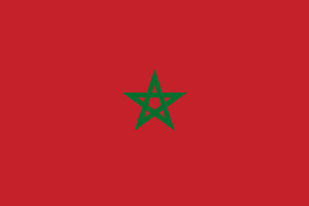 Flag of Morocco. Moroccan national banner and patriotic symbol. Official colors. Flat vector illustration.のイラスト素材