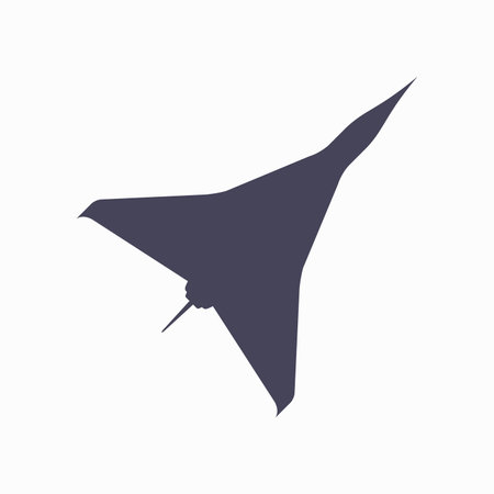 Supersonic passenger aircraft silhouette. Aircraft top view icon. Flat vector illustration isolated on white background.のイラスト素材