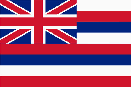 Flag of Hawaii. Banner and patriotic symbol. Official colors. Flat vector illustration.のイラスト素材