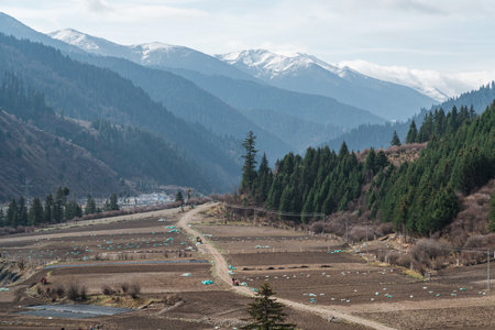 Cultivated land in the mountainsの写真素材