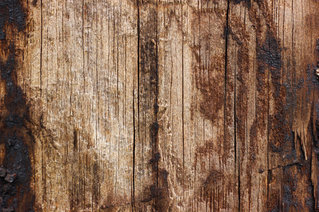 old boardの写真素材