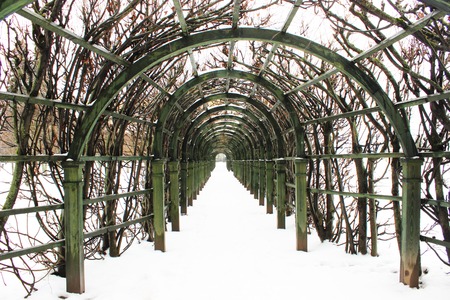 pergola in the gardenの写真素材