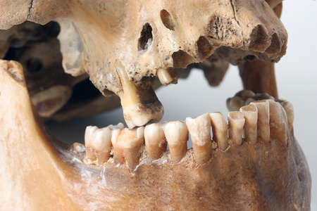Human teeth close up.の写真素材