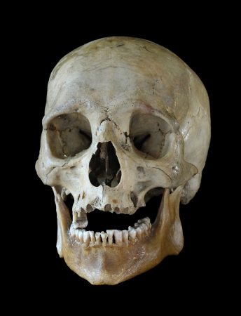 Human skull isolated on a black background の写真素材