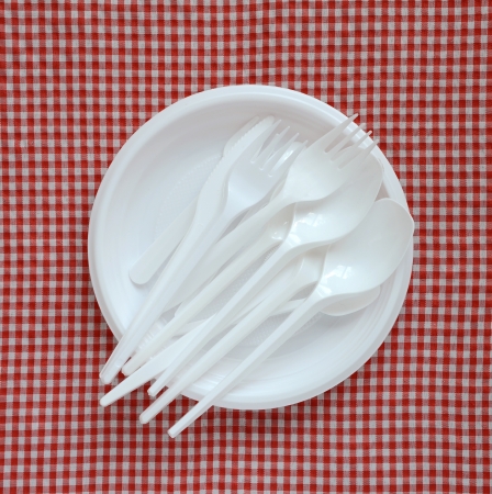 Disposable plastic plate on a checkered cloth の写真素材