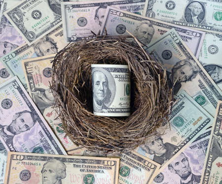 Dollars in a bird's nest as egg against dollars.の写真素材