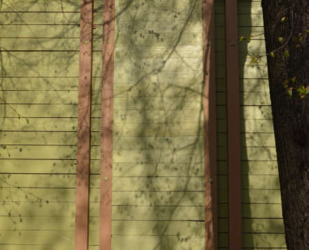 Blur abstract background. Tree shadow on a green wooden wall of the house.