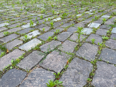 Abstract background. Old cobblestone pavement close-upの写真素材