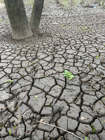 Dry and broken gray soil background. Top view of the dry fieldの写真素材