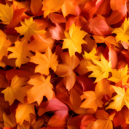 Autumn orange, leaves fall random background, leaf abstract element outdoor wallpaper, photos,の素材