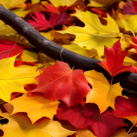Autumn picture, leaves fall abstract background, leaf random element outdoor wallpaper,の素材