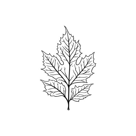 Autumn Icon hand draw black colour thanksgiving day logo vector element and symbolのイラスト素材