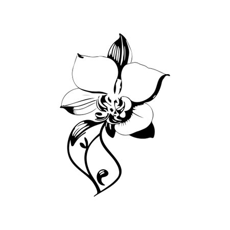 Orchid Icon hand draw black colour flowers logo vector element and symbolのイラスト素材