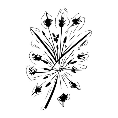 fireworks new year illustration sketch hand draw element blackのイラスト素材