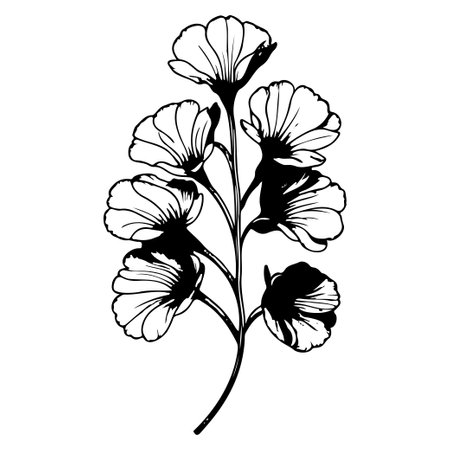 primrose drawing flower violet illustration sketch hand draw elementのイラスト素材