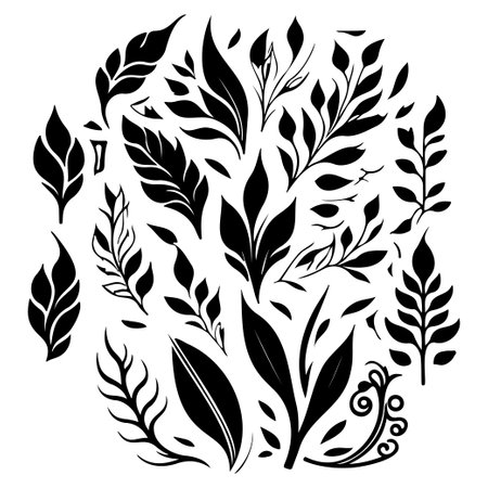 Art Nouveau Leaf Elements illustration sketch draw element blackのイラスト素材