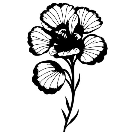 primrose drawing flower violet illustration sketch hand draw elementのイラスト素材