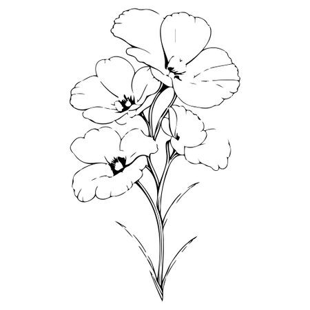 primrose drawing flower violet illustration hand draw elementのイラスト素材