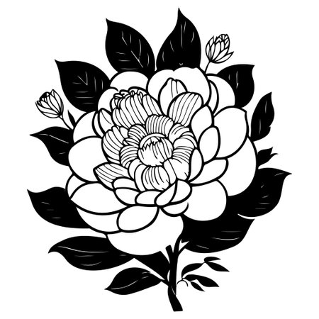 doodle Peony spring summer flowers illustration sketch hand draw elementのイラスト素材