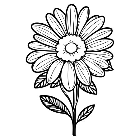 Sunflower floral illustration sketch hand draw elementのイラスト素材