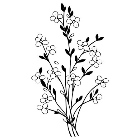 berry flower illustration sketch hand draw elementのイラスト素材