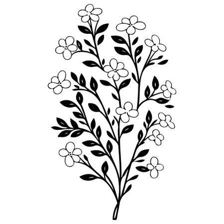 berry flower illustration sketch hand draw elementのイラスト素材