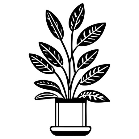 plant pot illustration sketch hand draw elementのイラスト素材