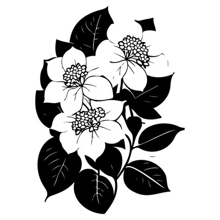 hydrangea flower illustration sketch elementのイラスト素材