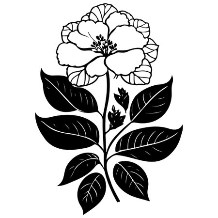 hydrangea flower illustration sketch elementのイラスト素材