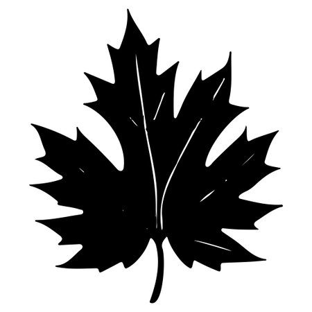 maple leaf plant floral illustration sketch elementのイラスト素材